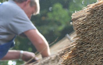 professional Friezeland thatchers